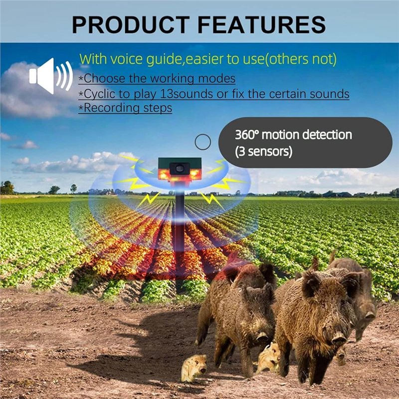 Sensor Gerak Alarm, Tingkat Ke - Motion Sensor Outdoor ulasan dan harga