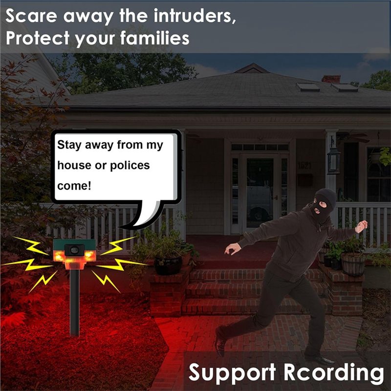 Sensor Gerak Alarm, Tingkat Ke - Motion Sensor Outdoor ulasan dan harga